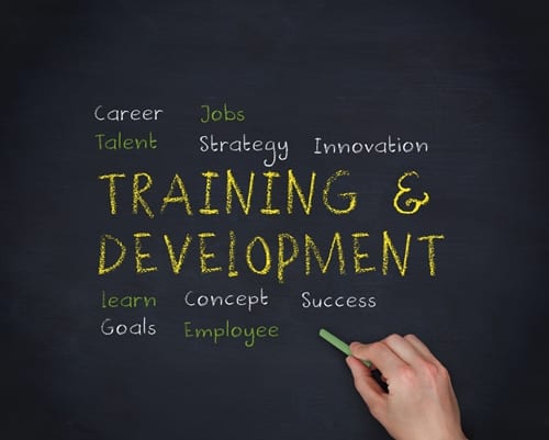 Blog post image pertaining to Businesses Invest More in Employee Training